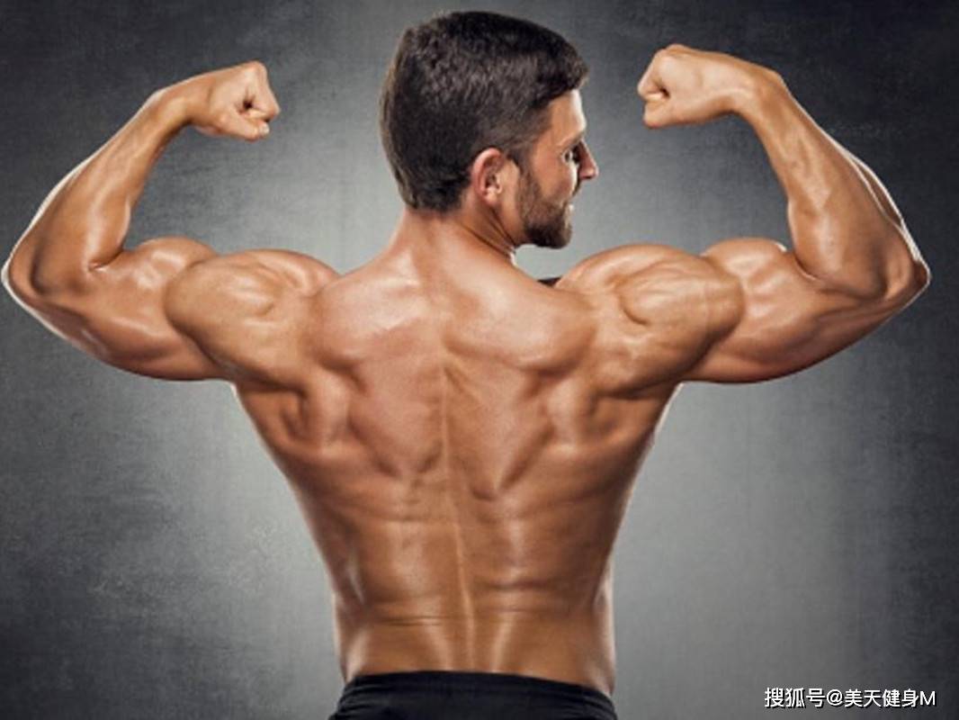 正面看背部的肌肉有哪些？背部肌肉有几种形态