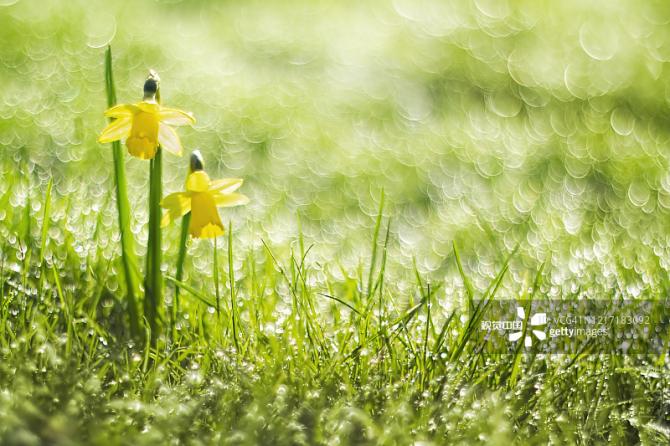春季节气有哪些 春季节气的顺序是什么