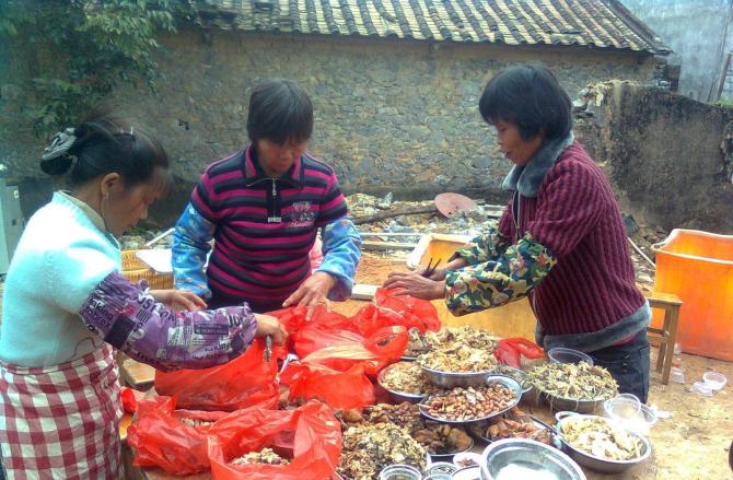 四川泸州一农户办酒席发生食物中毒 造成的人员伤亡情况如何
